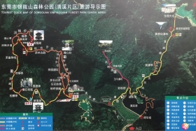 本周免费活动报名：“最美清溪•迎新2021”徒步+美食！