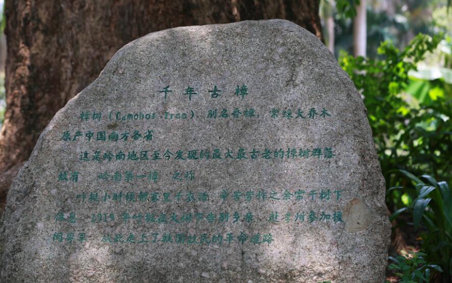 QQ截图20180704160051.jpg