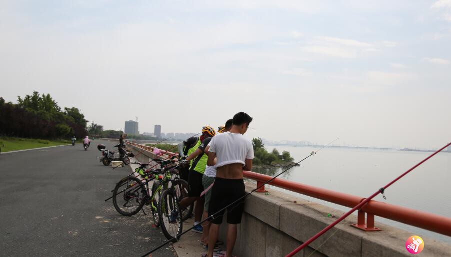 QQ截图20180830002005.jpg