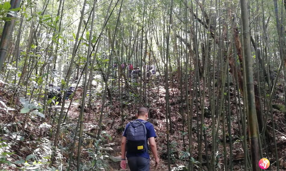 QQ截图20180919005357.jpg