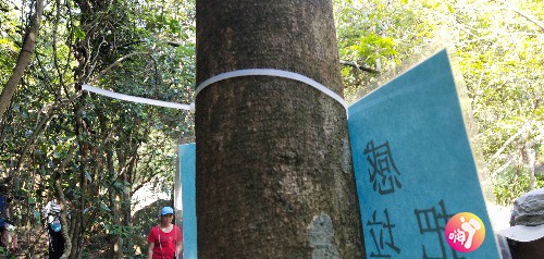 IMG_20190512_103900.jpg