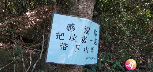 IMG_20190512_103853.jpg