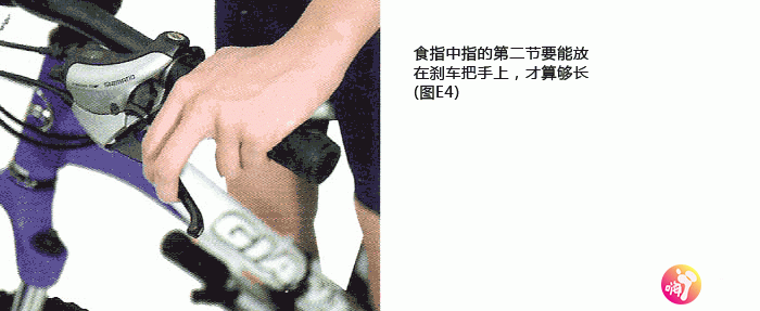 13HVZD493F-D221.gif