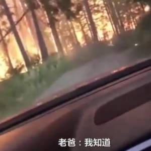 美国父子户外露营驾车逃离山火