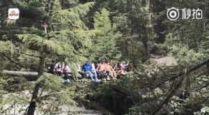 14名大学生独木桥拍照轰然掉进激流，多亏路过的资深驴友