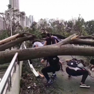 山竹，让深圳很是受伤!穿越丛林努力工作！