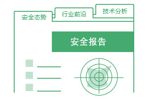 安全报告